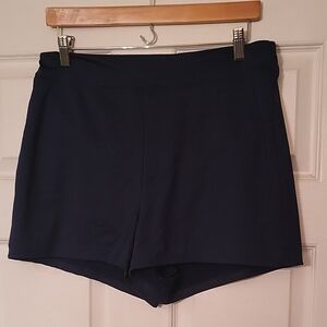 Lands End Swim Shorts